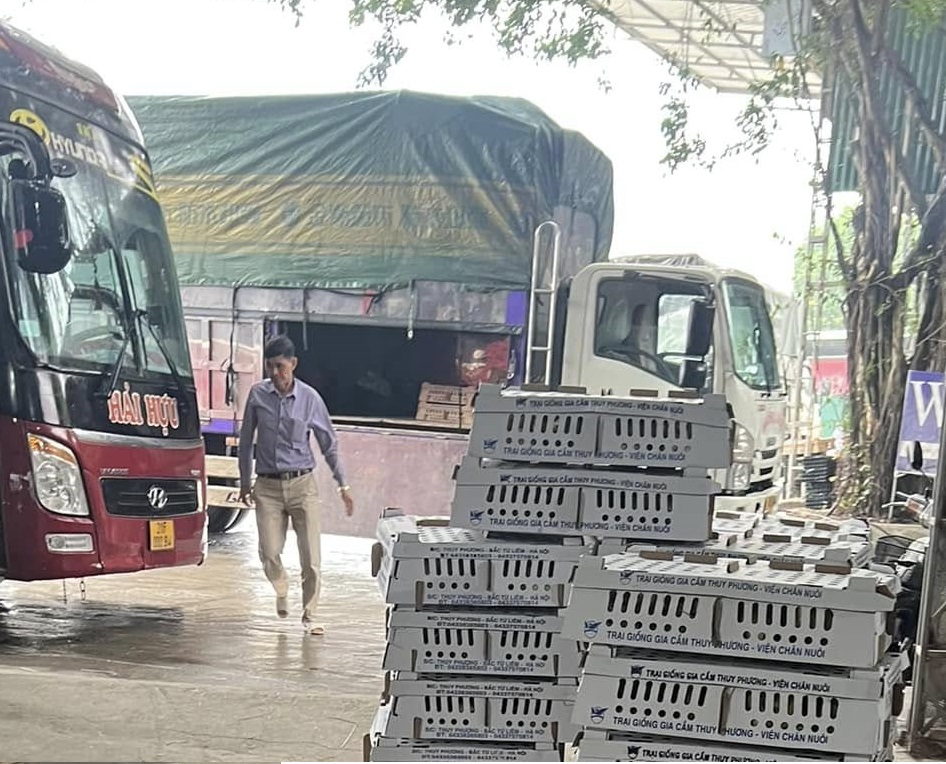 Trại giống gia cầm Thụy Phương